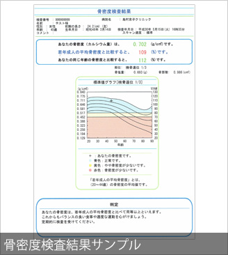 骨密度検査結果サンプル